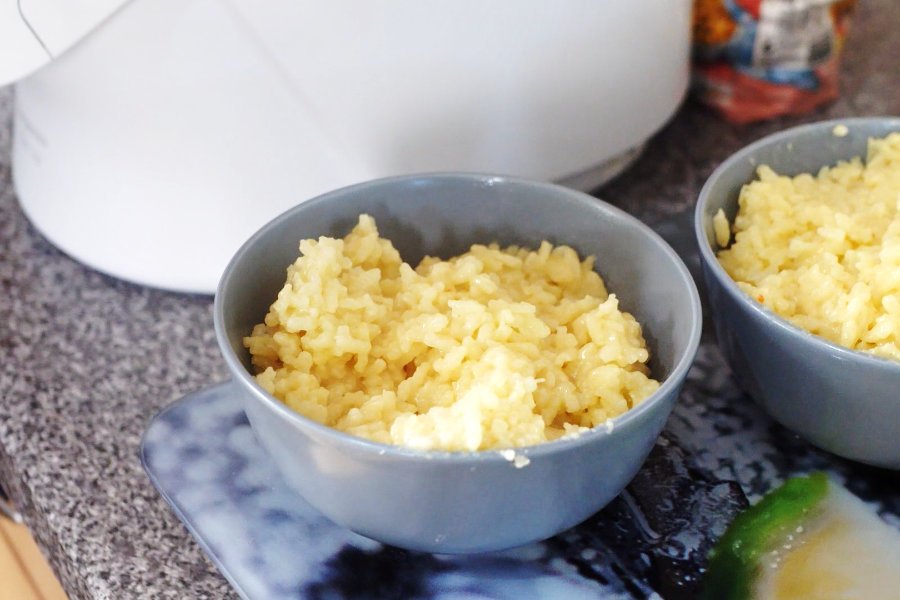 Moulinex Companion XL